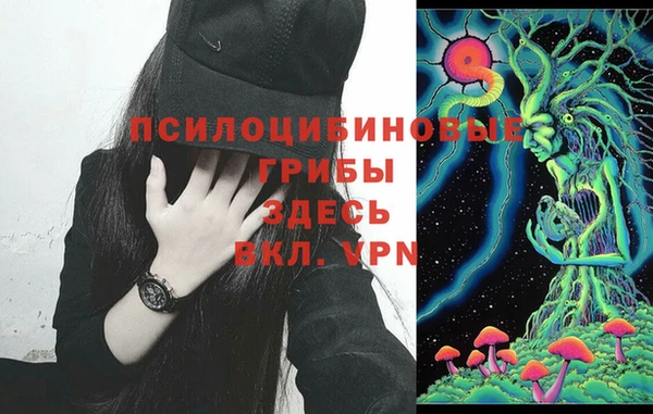 МДПВ Заводоуковск